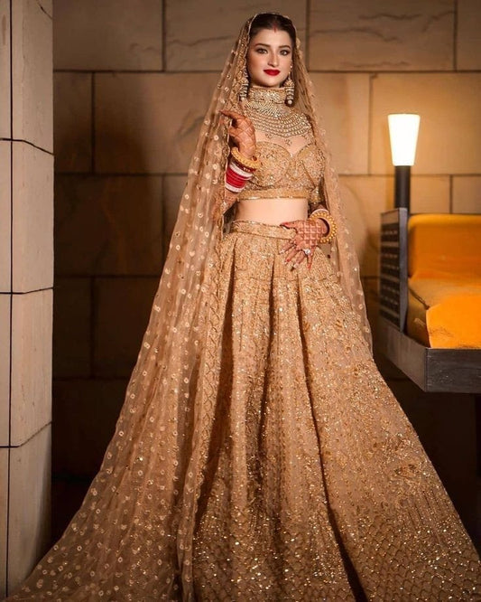 Fancy Fusional Embroidered Lehenga for Engagement ceremony
